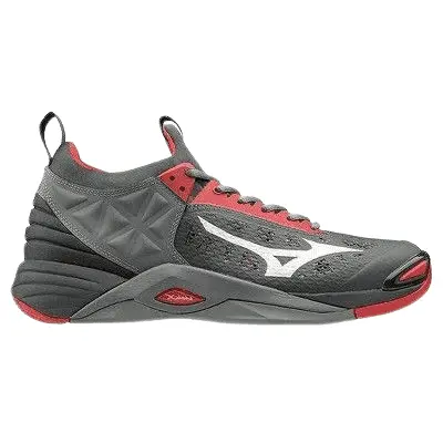 Mizuno mens Wave Momentum volleyball shoes